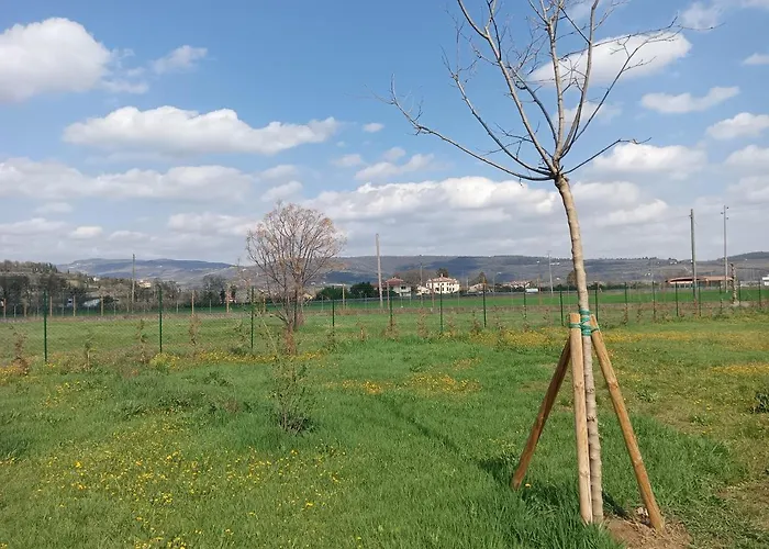 Agricampeggio Oro Verde