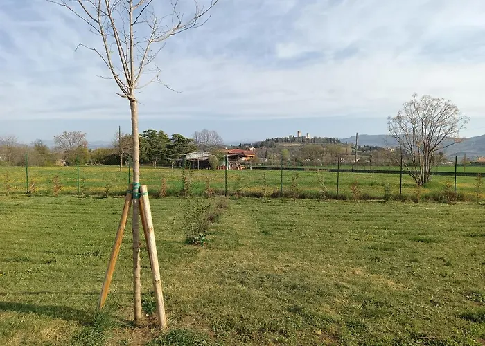 Agricampeggio Oro Verde